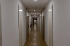 DSC4305