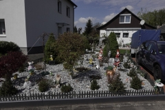 DSC1306